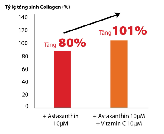 Sử dụng Astaxanthin hoặc kết hợp Astaxanthin & Vitamin C giúp khôi phục sự tổng hợp Collagen tương ứng 80% và 101%
