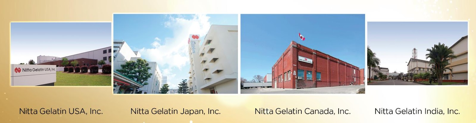 Nitta Gelatin có 15 Nhà máy tại 6 quốc gia trên thế giới