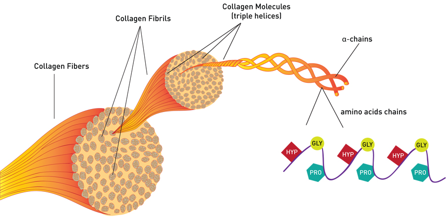 collagen-dang-nuoc1