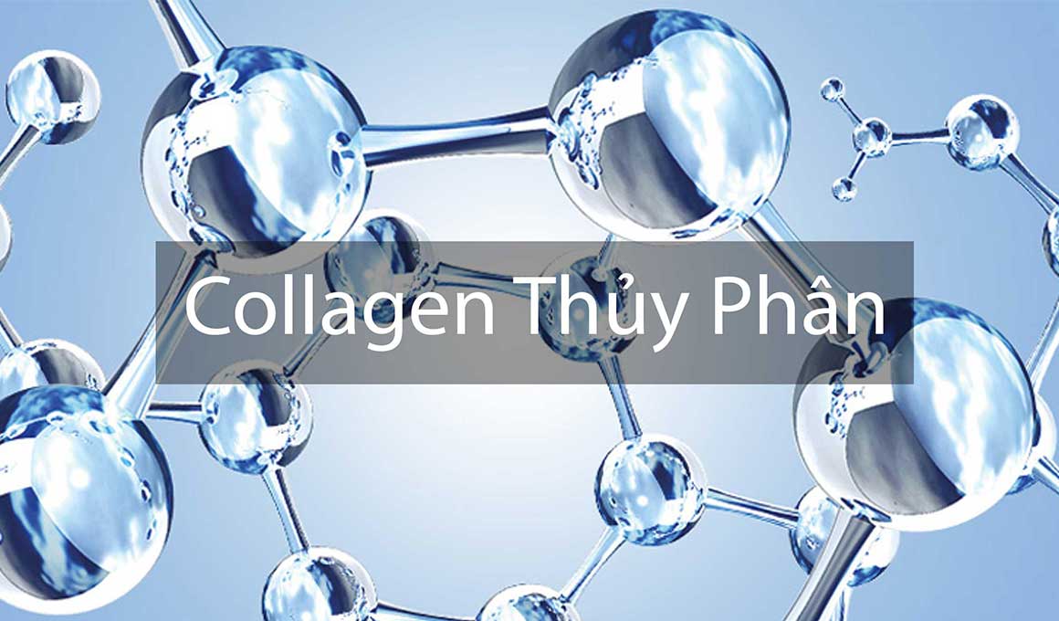 Collagen thủy phân hấp thu tốt hơn các loại Collagen khác