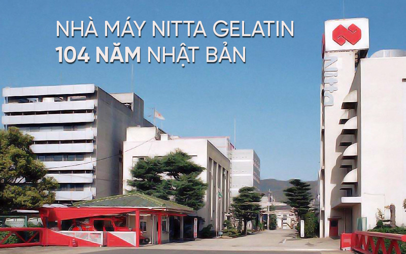 Nitta Gelatin - nhà máy chuyên về Collagen top 1 Nhật Bản và top 2 thế giới