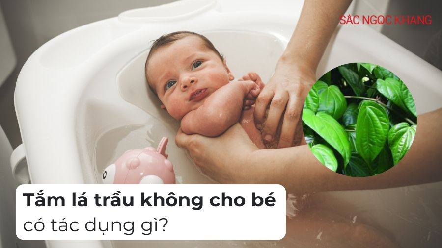 Tắm lá trầu không cho bé có tác dụng gì?