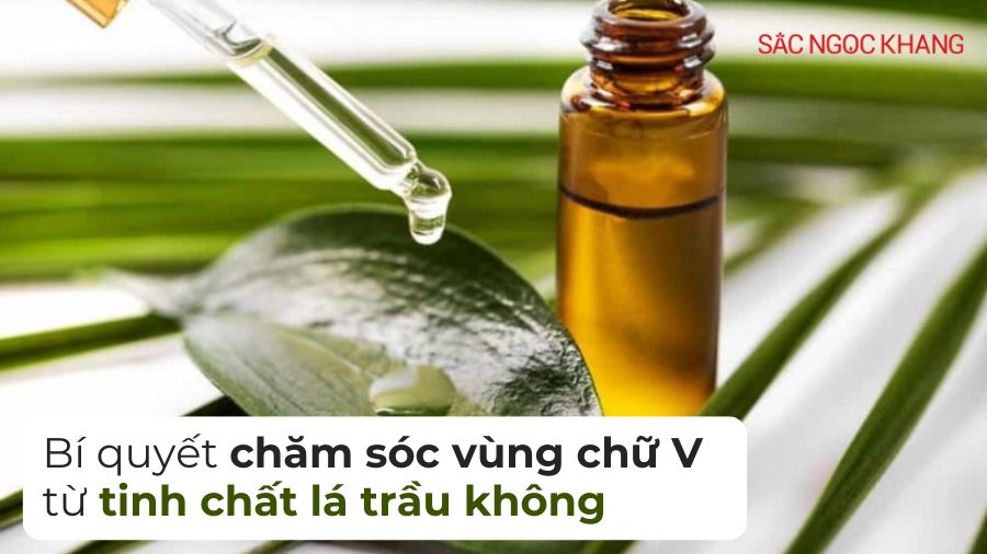 Tinh chất lá trầu không: bí quyết bảo vệ vùng chữ V hiệu quả