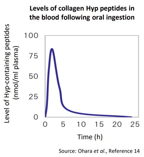 Nồng độ collagen Hyp peptide trong máu sau khi dùng đường uống
