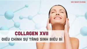 Collagen điều chỉnh sự tăng sinh biểu bì ở da