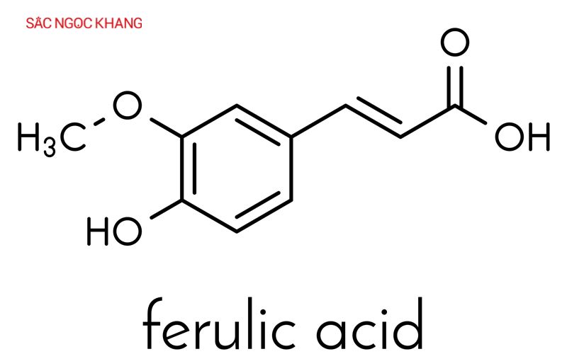 Acid Ferulic là một hợp chất tự nhiên có trong thực vật