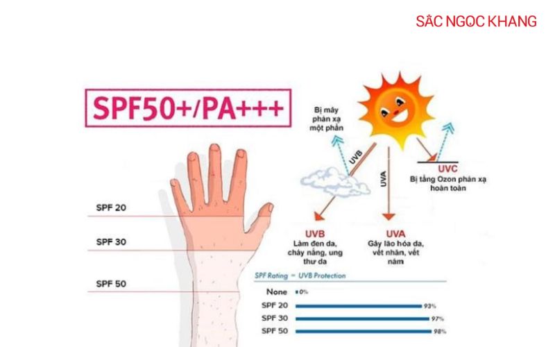 Chú ý đến chỉ số SPF và PA khi chọn kem chống nắng