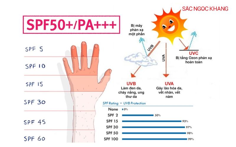 SPFvà PA là hai yếu tố quan trọng trong việc bảo vệ làn da khỏi tia UV