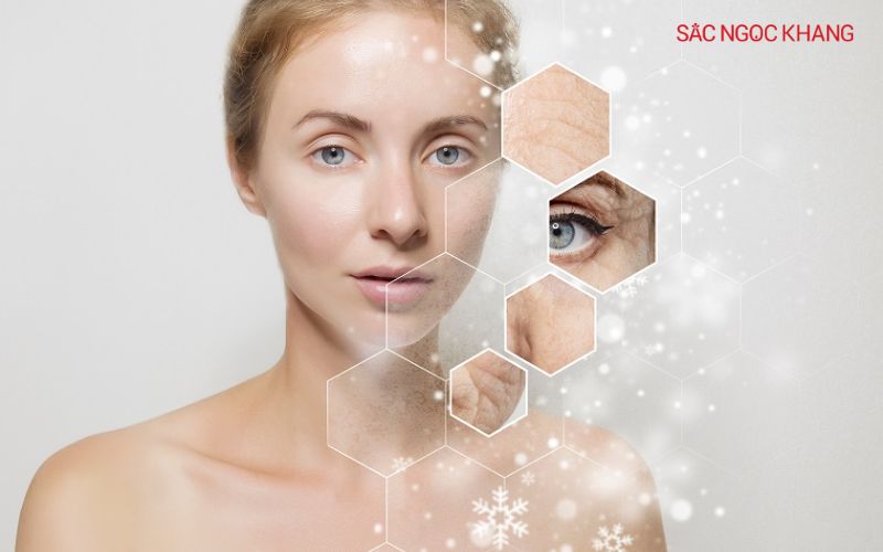 Collagen giúp ngăn ngừa lão hóa