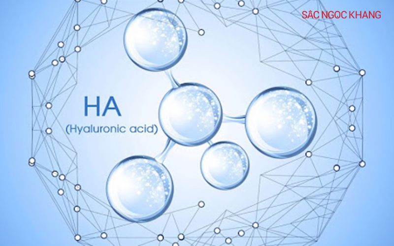 Hyaluronic Acid (HA)