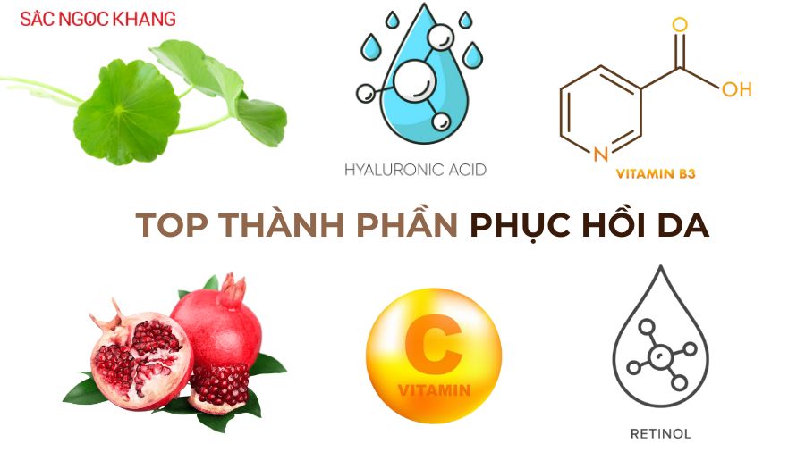 Top thành phần phục hồi da tốt nhất