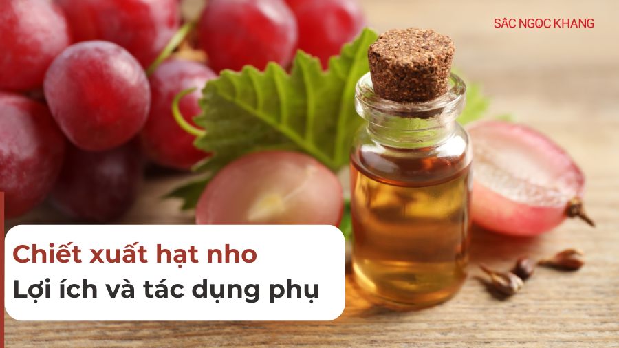 Chiết xuất hạt nho là gì? Công dụng và tác dụng phụ cần biết