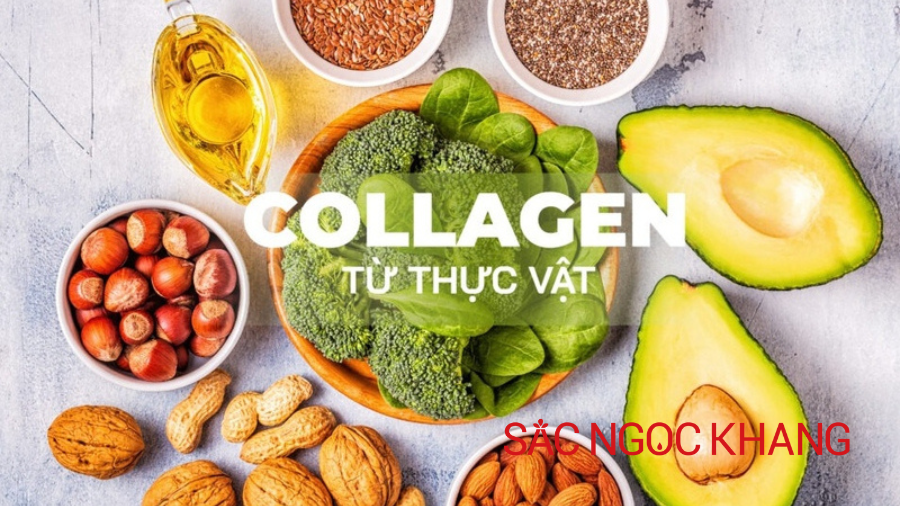 Collagen thực vật là gì?