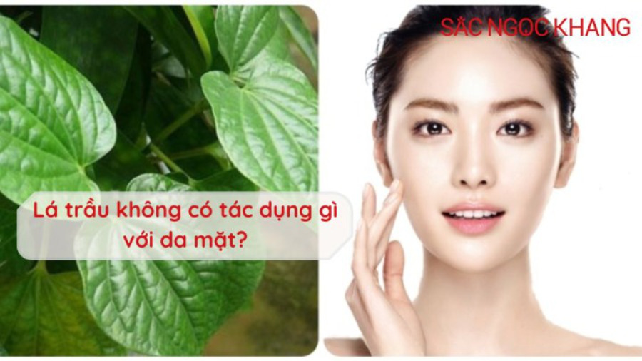 Lá trầu không có tác dụng gì với da mặt?