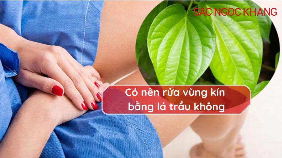 Có nên rửa vùng kín bằng lá trầu không
