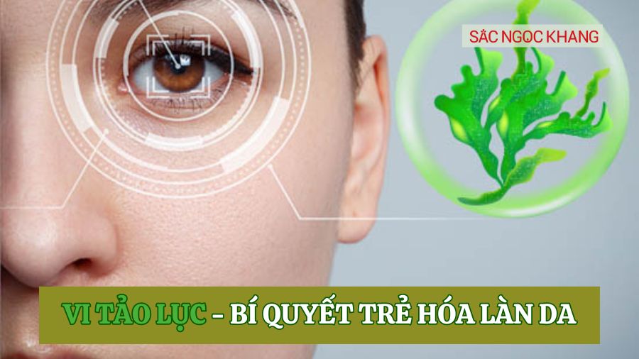 vi tảo lục