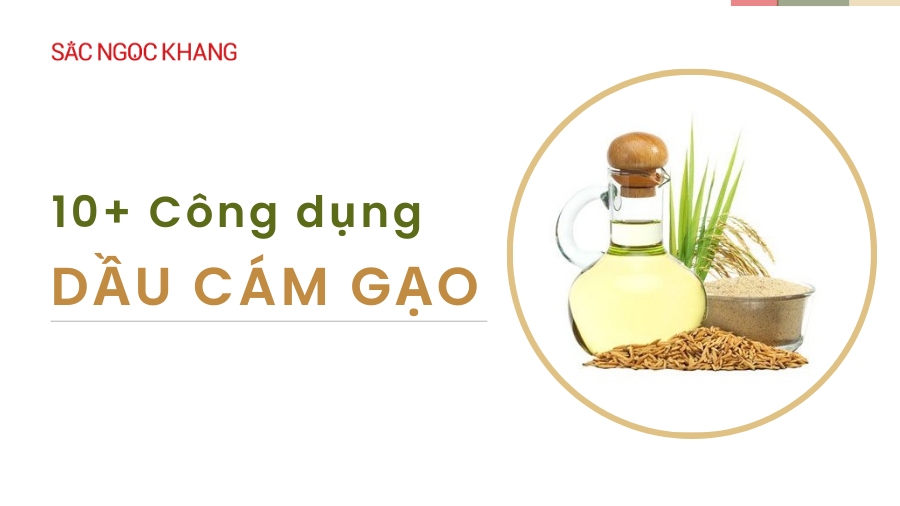 10+ công dụng tuyệt vời của dầu cám gạo 2024