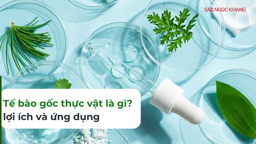 Tế bào gốc thực vật: Bí quyết trẻ hóa làn da từ thiên nhiên