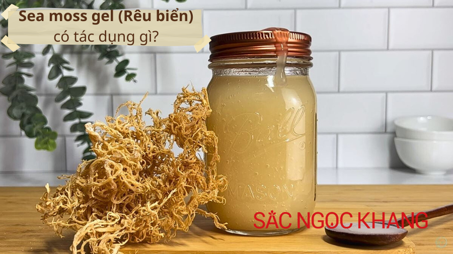Sea moss gel (Rêu biển) có tác dụng gì?