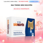 Viên uống Đại Tràng Bảo Nguyên (Hộp 50 viên)