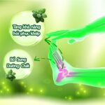 Viên Uống Dưỡng Khớp Bảo Nguyên Hộp 30 viên - Ảnh 3