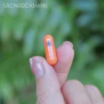 Viên Uống Vi Tảo Lục Sắc Ngọc Khang Mờ Nám, Đẹp Da, Hạn Chế Lão Hóa 180v - Ảnh 6