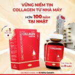 Combo 2 Nước Uống Collagen Dipeptide Mờ Nếp Nhăn - Dưỡng Ẩm Mịn Sắc Ngọc Khang (tặng nước tẩy trang và kem đêm 10g) - Liệu trình 2 tháng - Ảnh 3