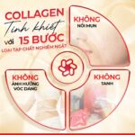 Combo 2 Nước Uống Collagen Dipeptide Mờ Nếp Nhăn - Dưỡng Ẩm Mịn Sắc Ngọc Khang (tặng nước tẩy trang và kem đêm 10g) - Liệu trình 2 tháng - Ảnh 6