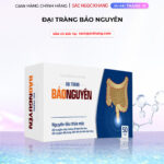 Viên uống Đại Tràng Bảo Nguyên (Hộp 50 viên)