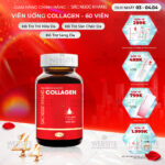Viên Uống Collagen Dipeptide Mờ Nếp Nhăn - Dưỡng Ẩm Mịn Da Sắc Ngọc Khang hộp 60 viên