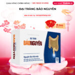 Viên uống Đại Tràng Bảo Nguyên (Hộp 50 viên)