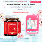 Combo 3 Viên Uống Collagen Dipeptide Mờ Nếp Nhăn - Dưỡng Ẩm Mịn Sắc Ngọc Khang