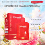 Nước Uống Collagen Dipeptide Mờ Nếp Nhăn - Dưỡng Ẩm Mịn Da Sắc Ngọc Khang Hộp 5 gói x 20ml