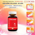 Viên Uống Collagen Dipeptide Mờ Nếp Nhăn - Dưỡng Ẩm Mịn Da Sắc Ngọc Khang hộp 60 viên