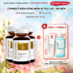 Combo 3 Hộp Viên Uống Vi Tảo Lục Sắc Ngọc Khang Đào Thải Nám 60 viên/hộp