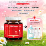 Combo 3 Viên Uống Collagen Dipeptide Mờ Nếp Nhăn - Dưỡng Ẩm Mịn Sắc Ngọc Khang
