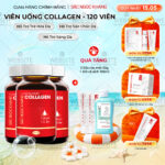 Combo 3 Viên Uống Collagen Dipeptide Mờ Nếp Nhăn - Dưỡng Ẩm Mịn Sắc Ngọc Khang