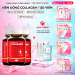 Combo 3 Viên Uống Collagen Dipeptide Mờ Nếp Nhăn - Dưỡng Ẩm Mịn Sắc Ngọc Khang