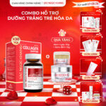 Combo Cao Cấp Dưỡng Da Căng Mịn - Trắng Sáng Sắc Ngọc Khang
